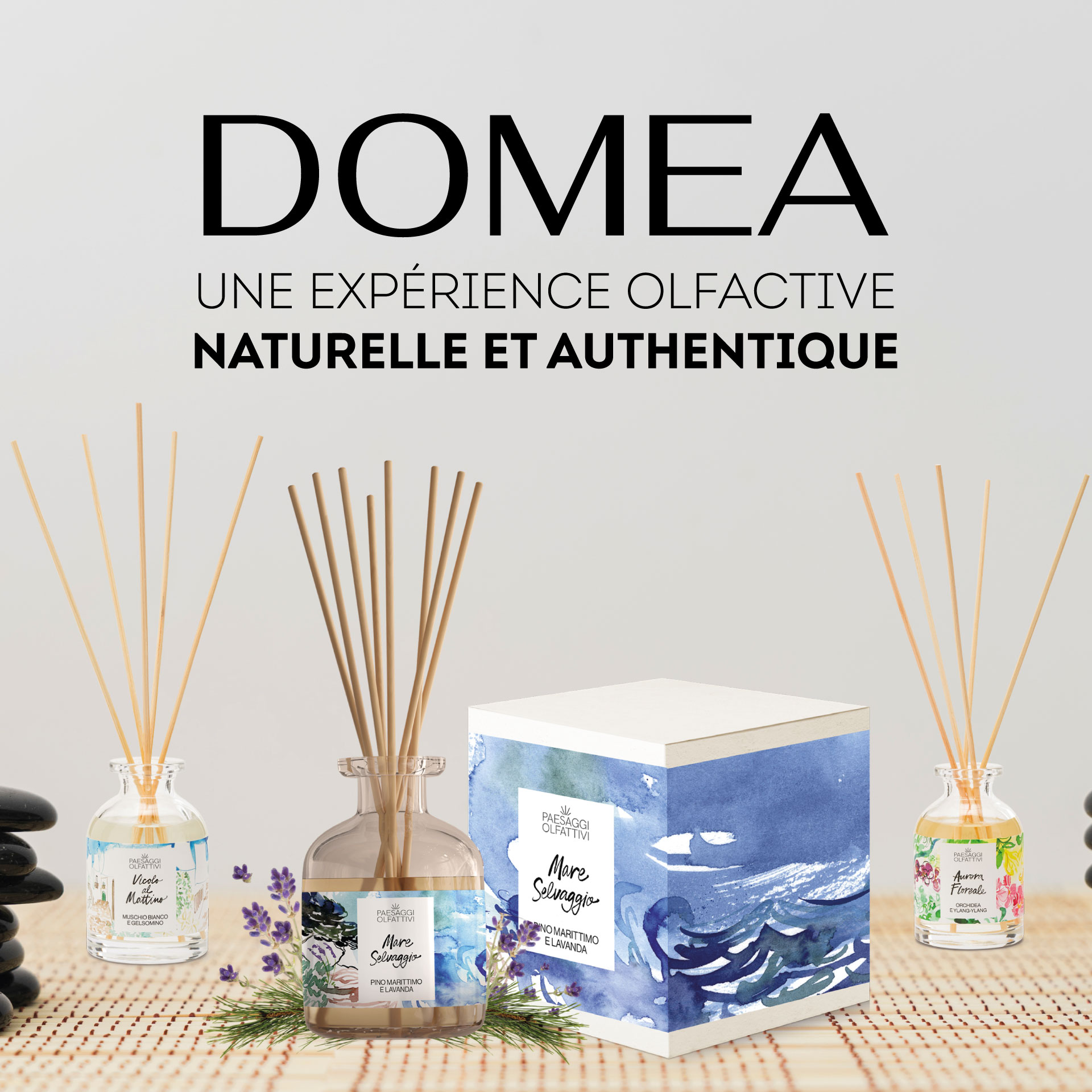 domea-alma-header-mobile Bio-t, la beauté végétale